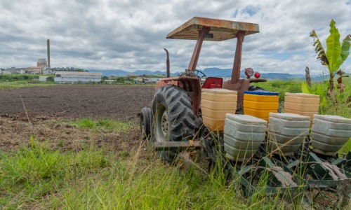 Produtor Rural recebe apoio para o cultivo de feijão em Porto Real